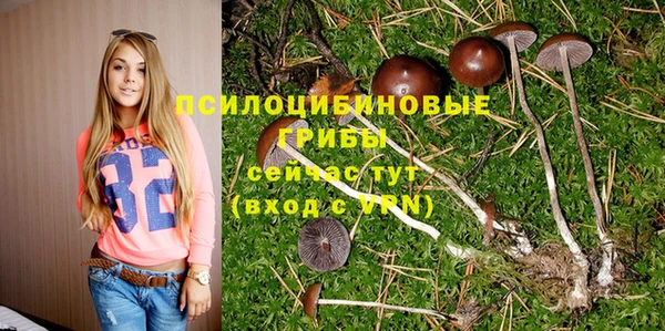 МДПВ Алзамай